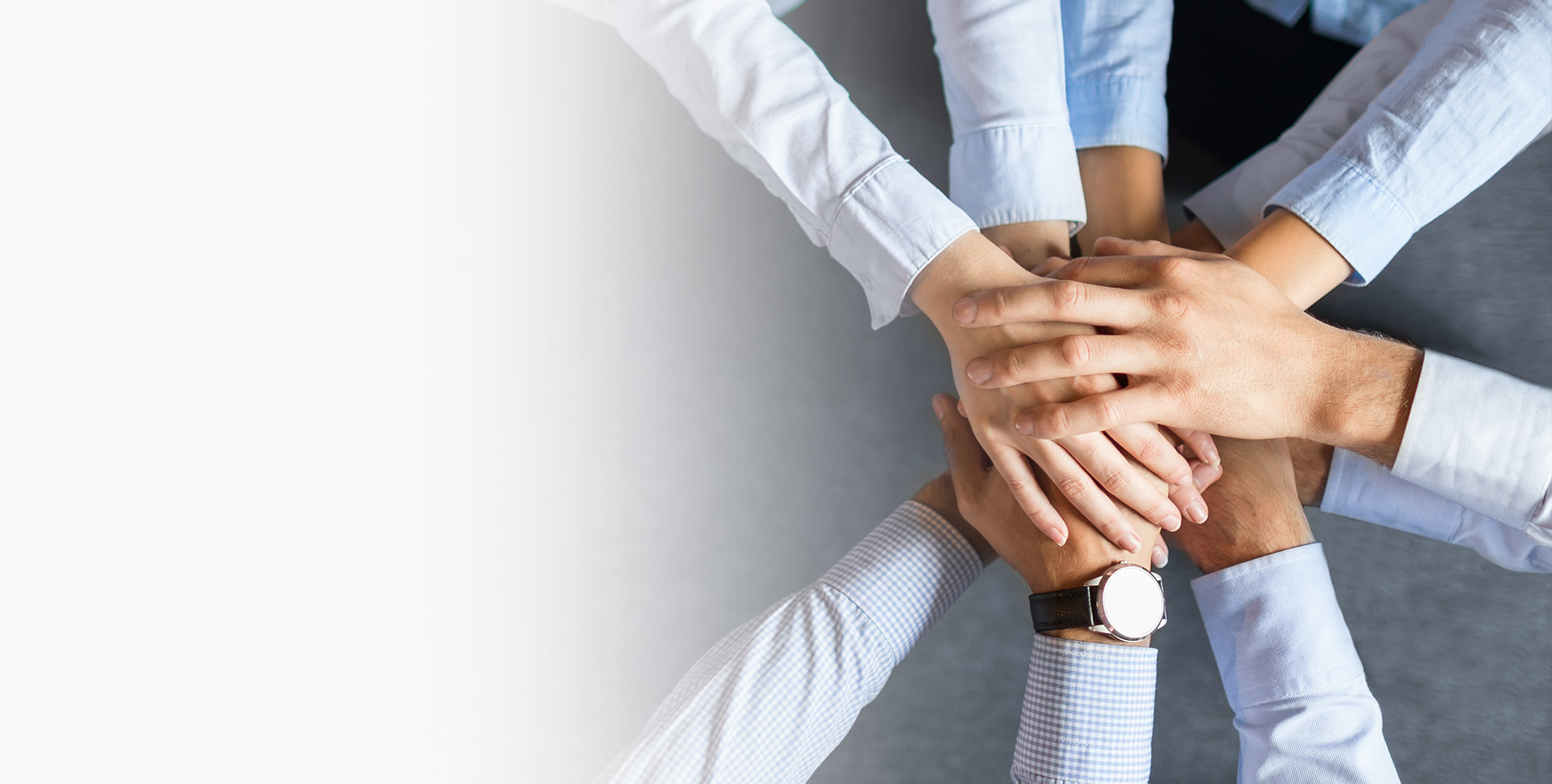 ΰ�¹���(victor1946)�ٷ���վ-Officials Website