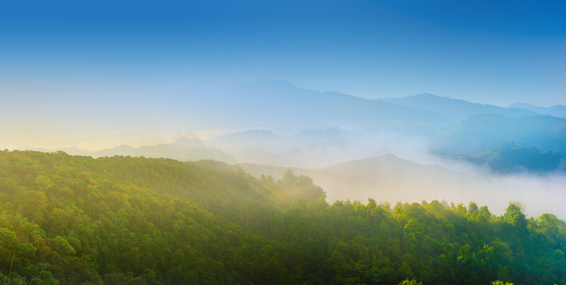 ΰ�¹���(victor1946)�ٷ���վ-Officials Website